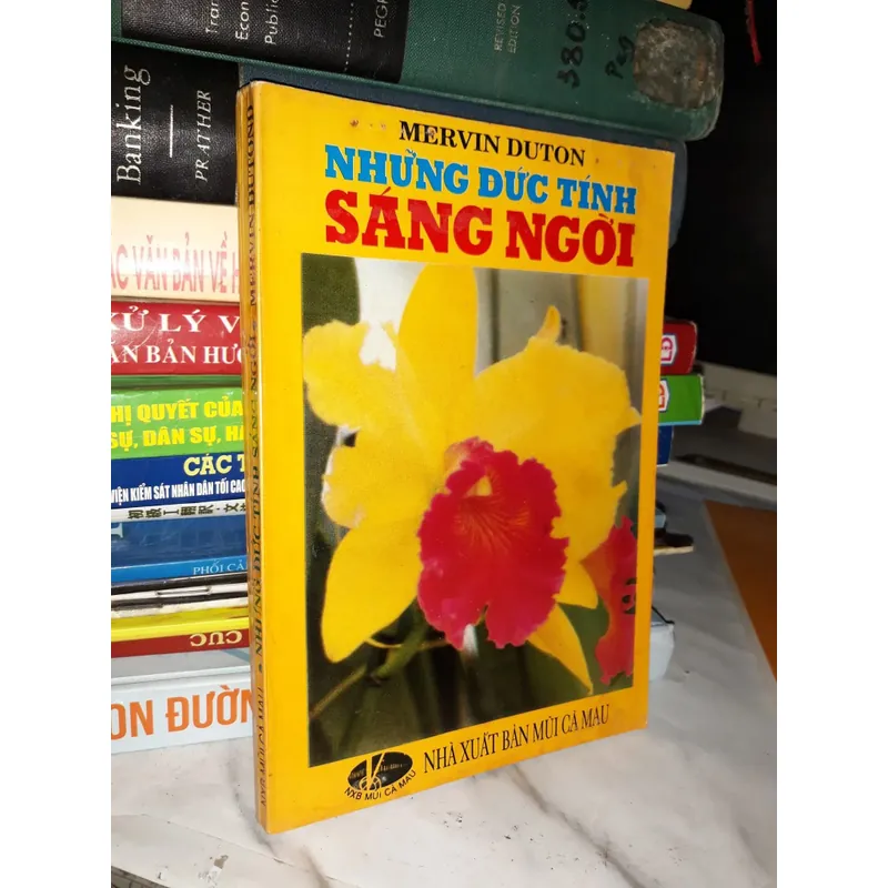 Những đức tính sáng ngời 593135