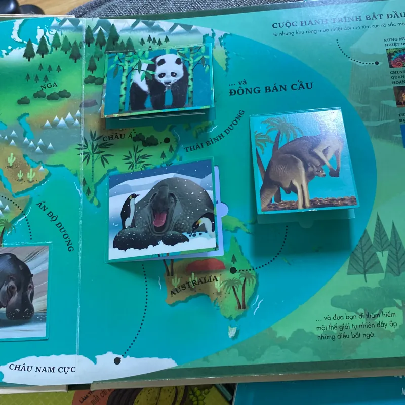 Atlas da tương tác  về động vật hoang dã 766035