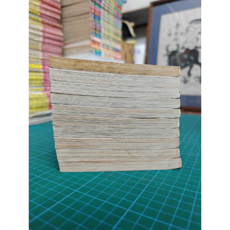 TRUYỆN TRANH HƯƠNG TÌNH YÊU - TAKAHASHI SAEMI 324430