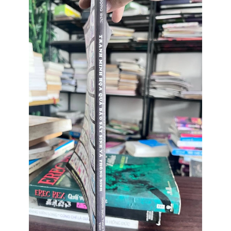 Tranh Minh Họa Quả Báo Sát Sinh Và Phóng Sinh - Thích Trúc (Người Dịch), Rọng Đức 973600