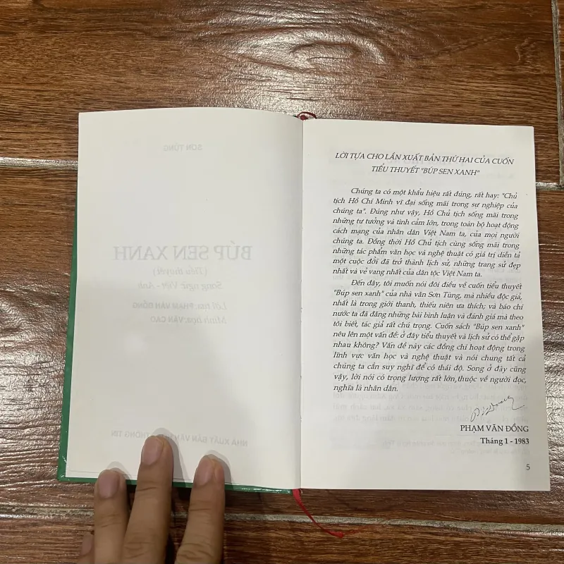 Búp sen xanh - Sơn Tùng  (12) 1050589