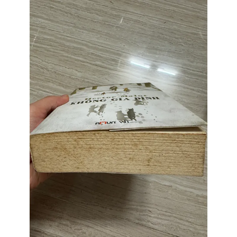 Sách Không Gia Đình 753722