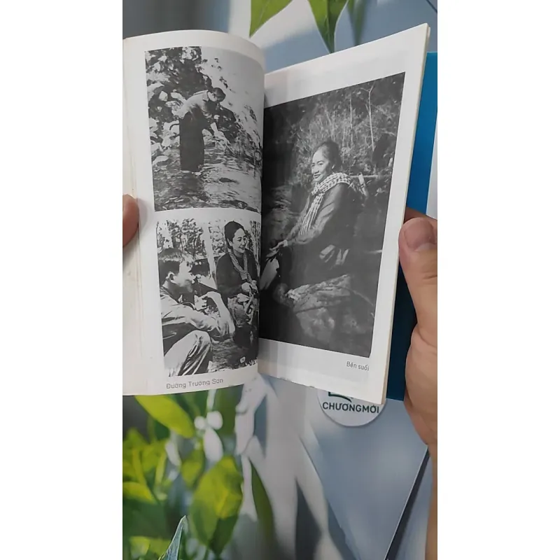 Người Đi Tìm Ngọn Đuốc Thiêng - Thanh Giang 798320