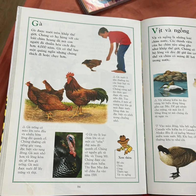 Bách khoa động vật cho trẻ em- khổ A3 to in màu 1029770