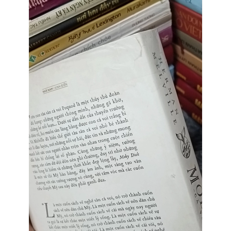 Cá voi trắng Moby Dick 508801