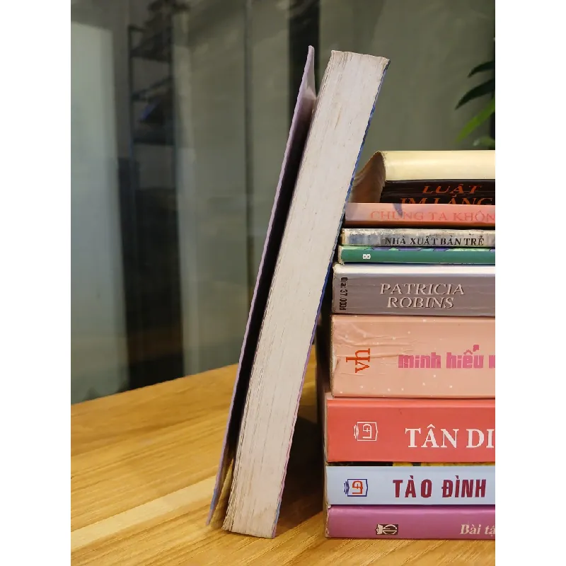 Tình riêng – Vicki Baum 558503