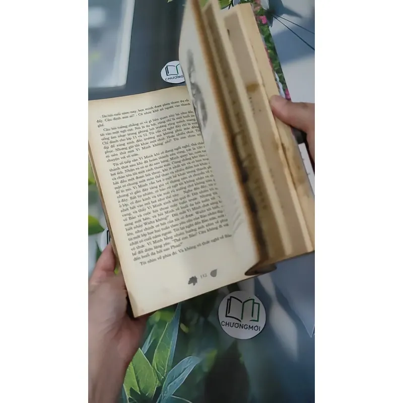 Cảm Ơn Cuộc Sống Một Lần Nữa 1018888