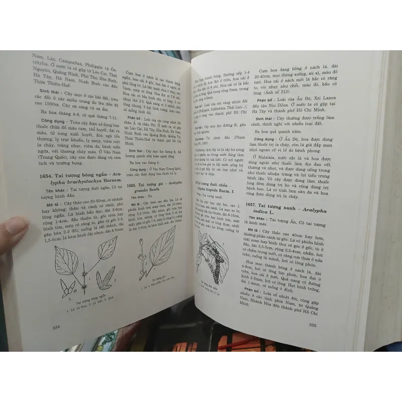 CÂY CỎ CÓ ÍCH Ở VIỆT NAM (TRỌN BỘ) - Võ Văn Chi 528968