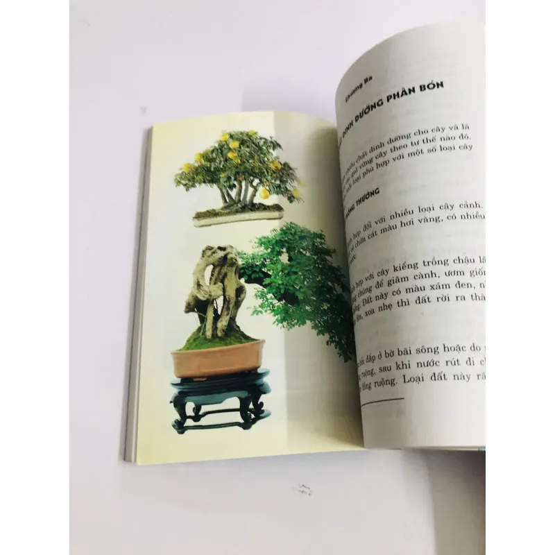 KỸ THUẬT TRỒNG & TẠO DÁNG CÂY CẢNH 595095