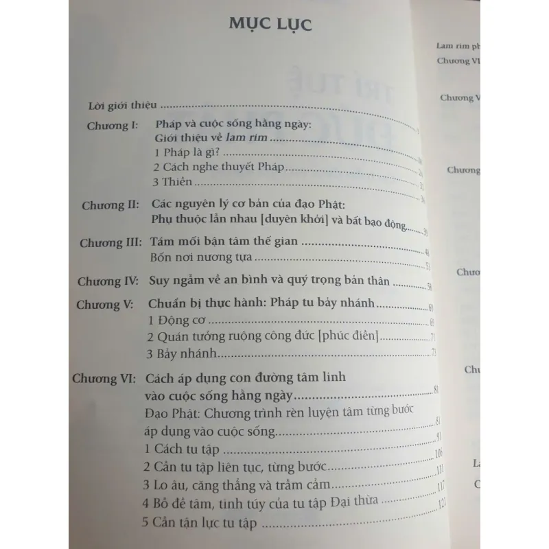 Sách Tứ tuệ Đức Phật - Lama Tham Thảo Rinpoche mới 90% 717730