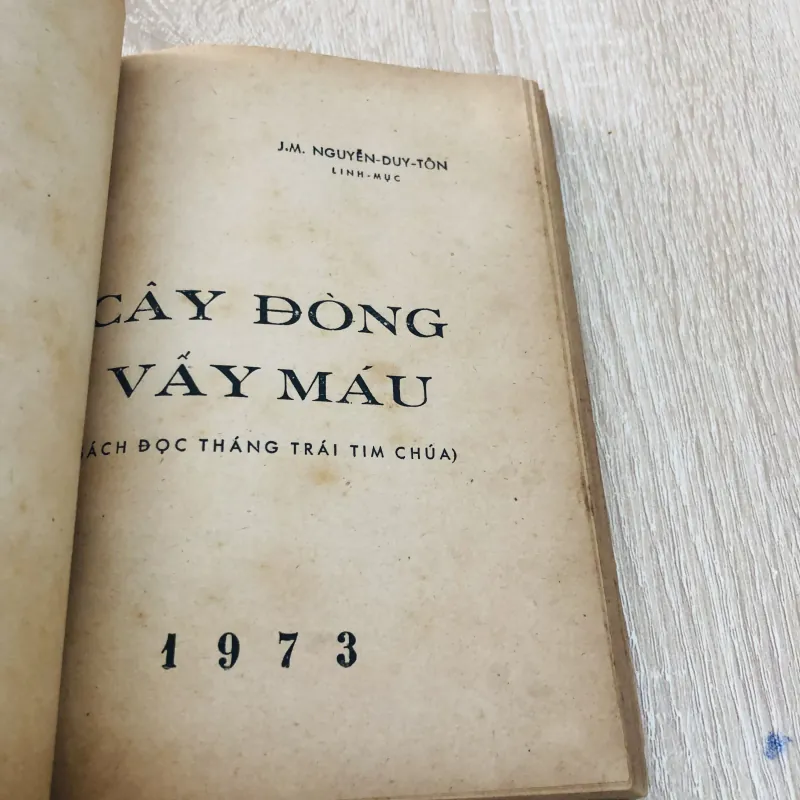 Cây Đòng Vấy Máu – J.M. Nguyễn Duy Tôn (Linh Mục) 933224