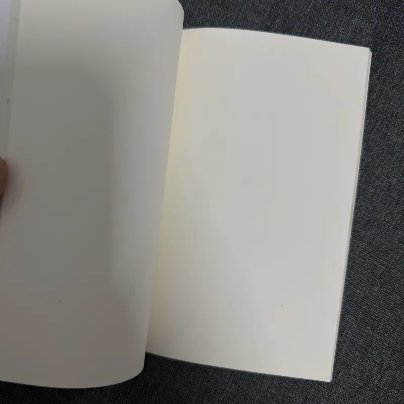 [TẶNG, ĐƠN TỪ 100K] Sổ tay Mắt biếc 1023262