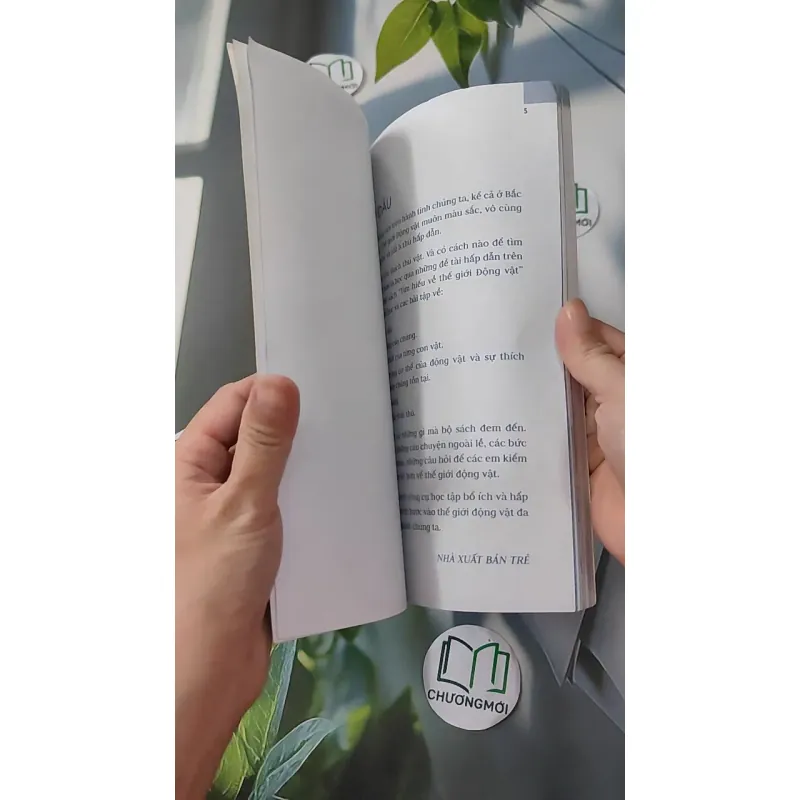 Động vật: Sống dưới nước, bò sát và côn trùng - An Khánh 1018832