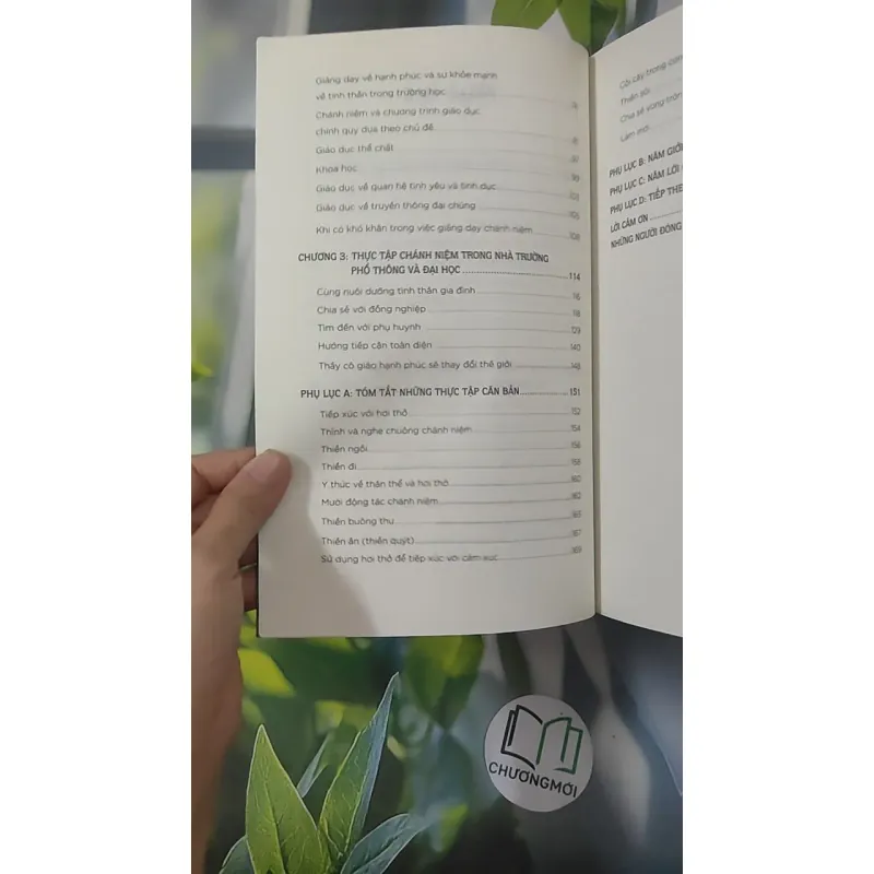 Thầy Cô Giáo Hạnh Phúc Sẽ Thay Đổi Thế Giới 2 - Thích Nhất Hạnh & Katherine Weare 1018932