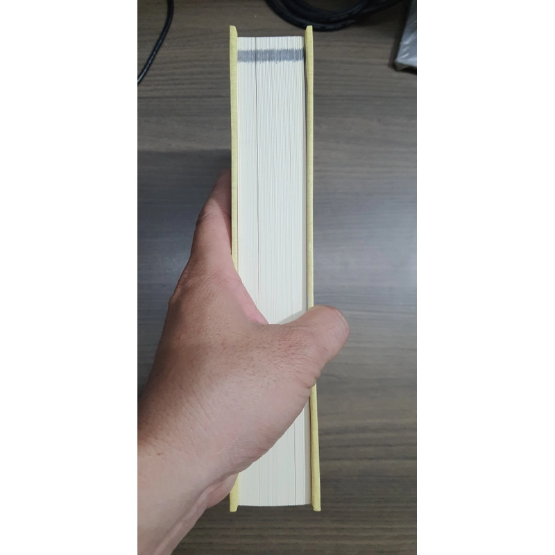 Việt Nam sử lược 494017