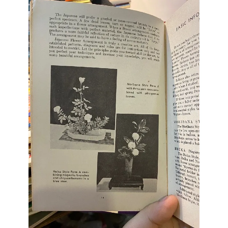 Japanese Flower Arrangement: A Complete Primer 694279