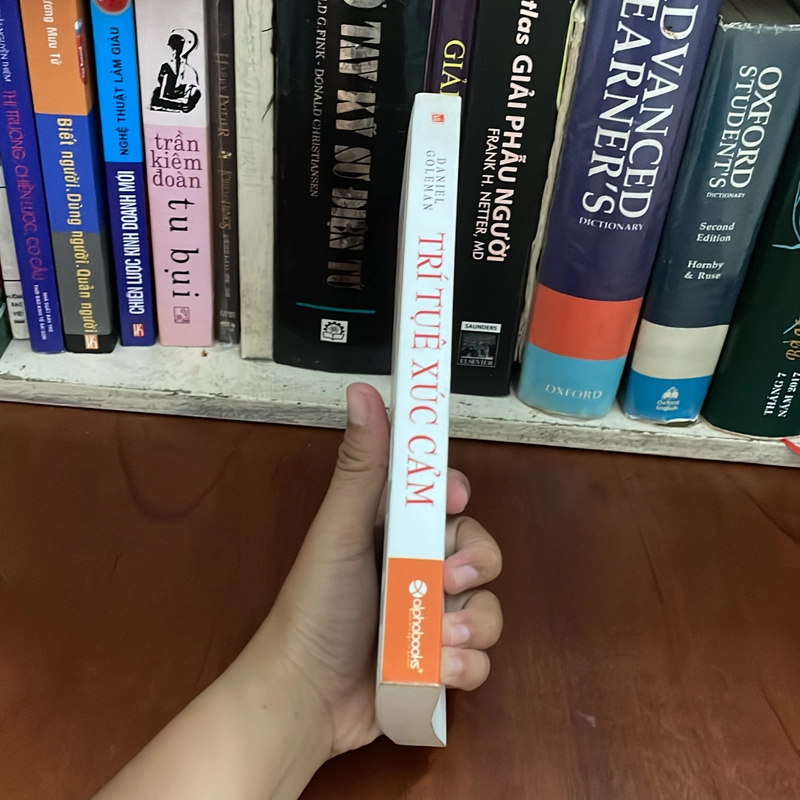 II Sách Kỹ Năng: Trí Tuệ Xúc Cảm - DANIEL GOLEMAN - 2014 547980