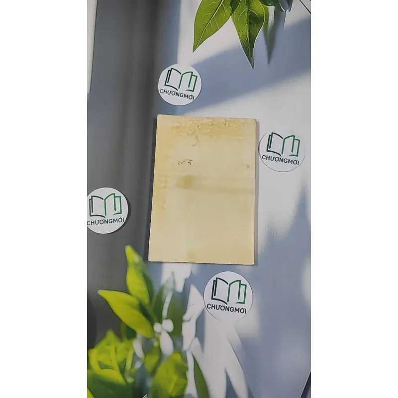 [MIỄN PHÍ BỌC SÁCH] [XƯA] Truyện Xuân Hương - Tác Phẩm, Chú Giải Và Nghiên Cứu (Kiệt Tác Văn Học Korea) (1994) - Yang Soo, Bae 798516