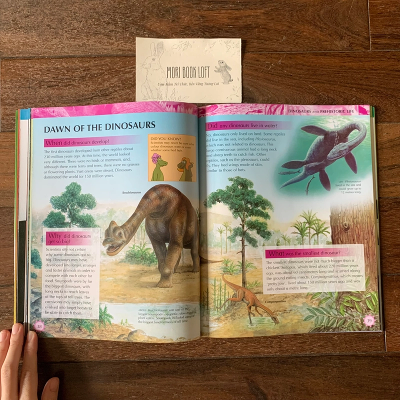 Sách ngoại văn Science, Nature (Children's Q & A), Used, Sách kiến thức khoa học tự nhiên 522846