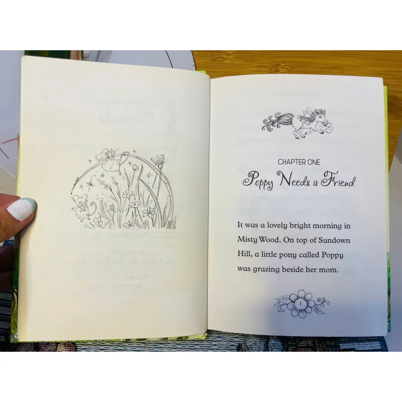 [Sách tiếng Anh 2hand] Like new 90% - 🦄 Fairy Animals of Misty Wood – Lily Small 🦔 779206