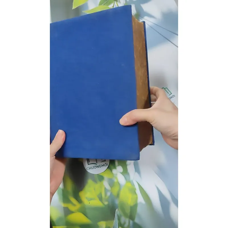 [MIỄN PHÍ BỌC SÁCH] Từ Điển Anh - Việt - Viện Ngôn Ngữ 750747