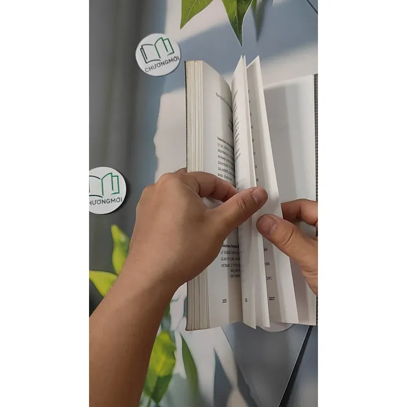 Thơ Nguyễn Bính Tuyển Chọn - Song ngữ Việt Pháp - Hoàng Hữu Đản dịch 798292