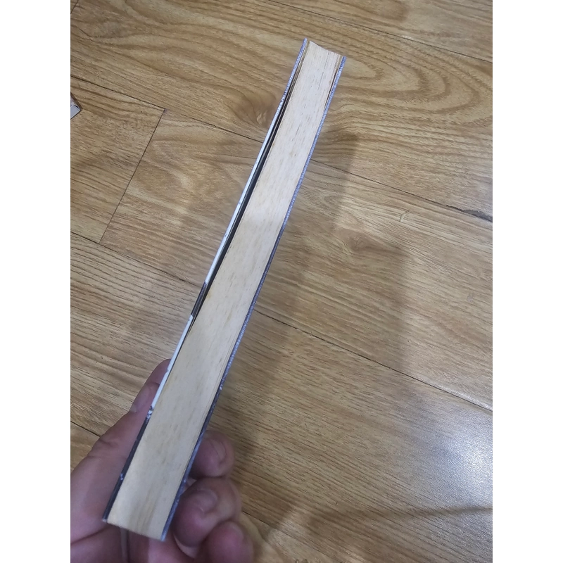 Tiếng khóc và Tiếng hát - Trang Thế Hy 451736