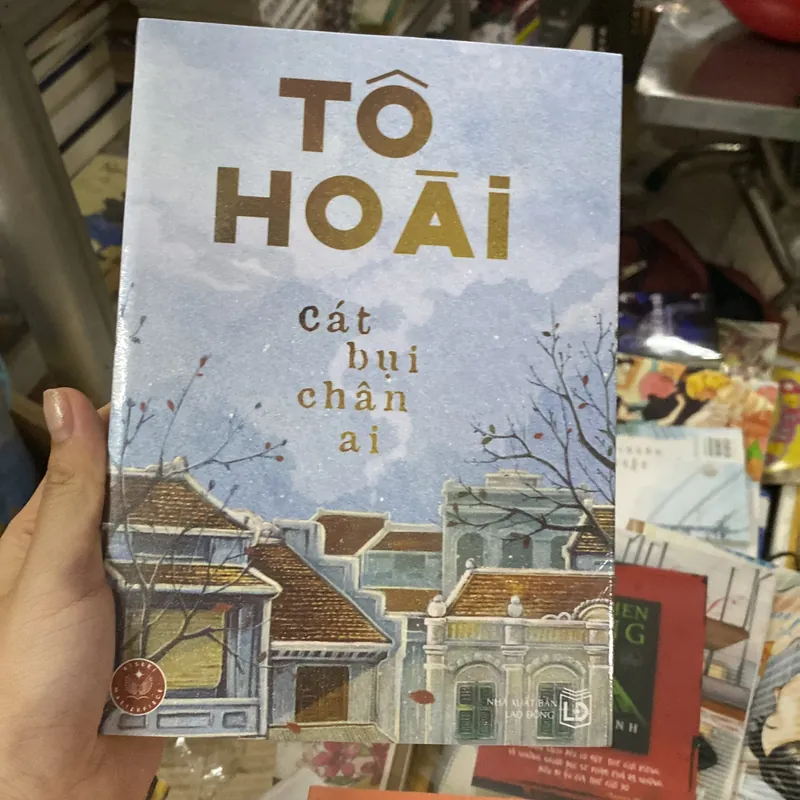 Cát bụi chân ai 713563