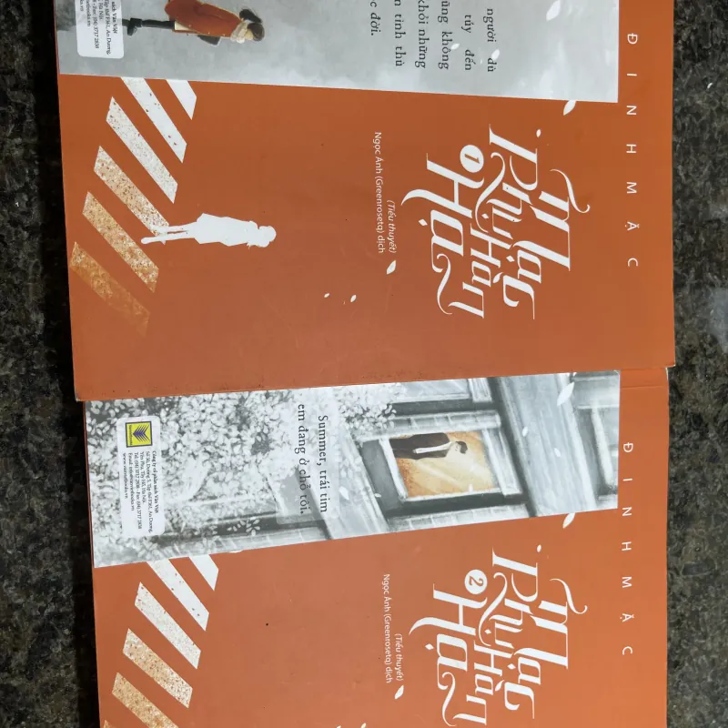 Mạc phụ hàn hạ Đinh Mặc Bộ 2 tập  777965