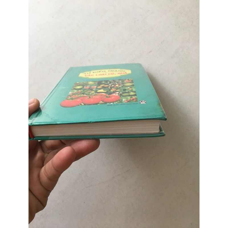 Từ Điển Tranh Về Các Loại Củ, Quả - Lê Quang Long chủ biên 545526