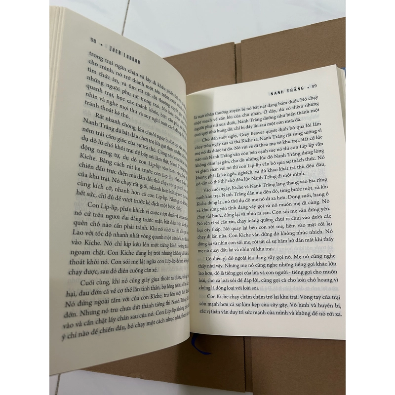 Nanh trắng & tiếng gọi của hoang dã 517850