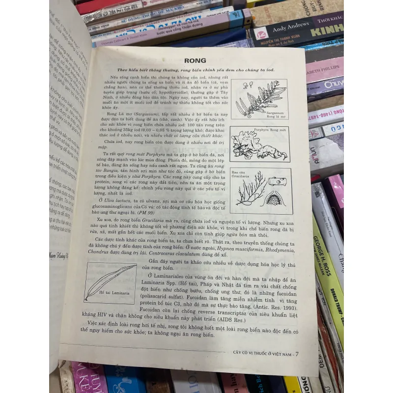 CÂY CÓ VỊ THUỐC Ở VIỆT NAM - PHẠM HOÀNG HỘ  1031526