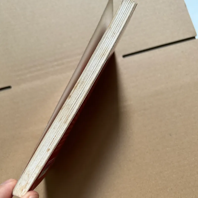 Người phụ nữ giàu nhất thế giới 573156