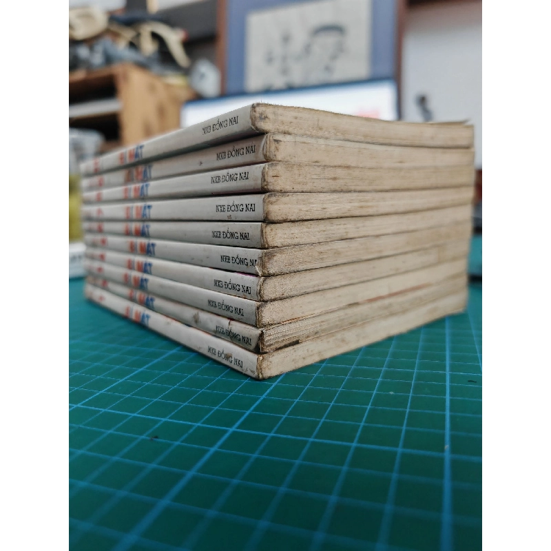 Truyện Tranh Bí Mật - Han Yu Rang 366162