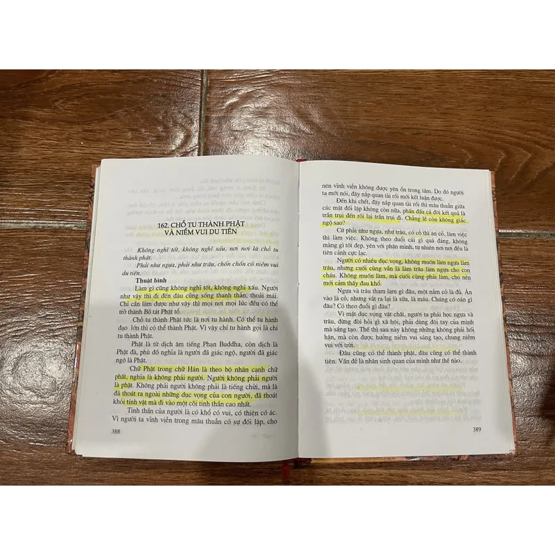 Triết nhân và đệ tử - Nguyễn Văn Sâm (6) 715192