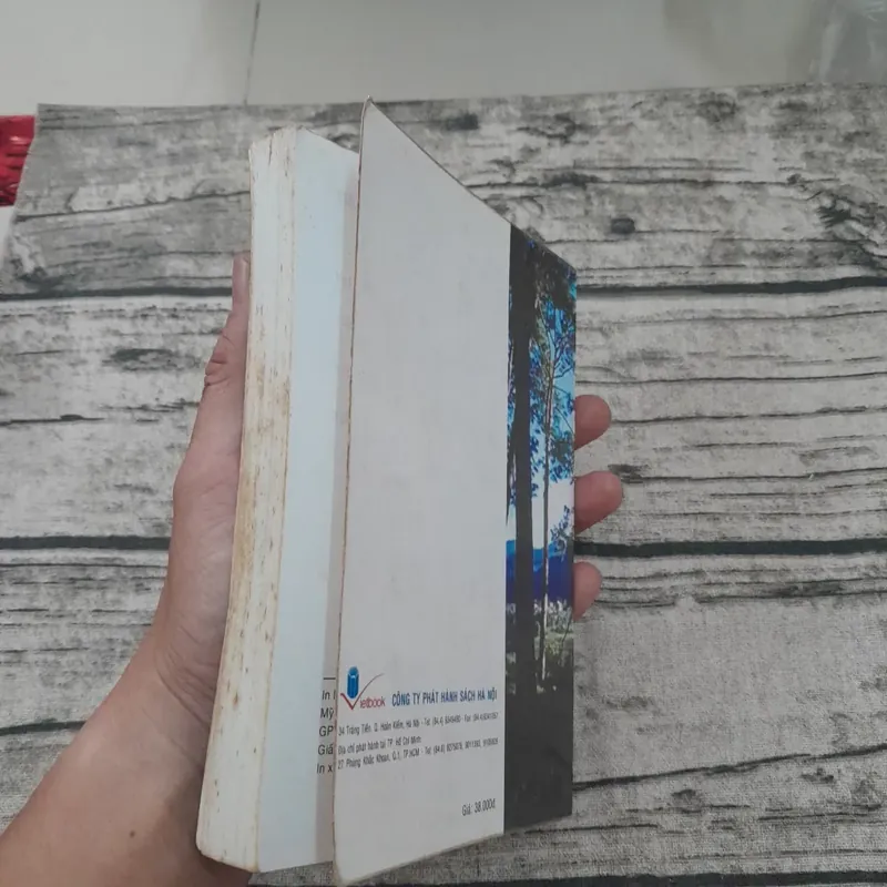 Tập truyện ảo rợn. Vợ chồng mới cưới. Nhiều tác giả 601421