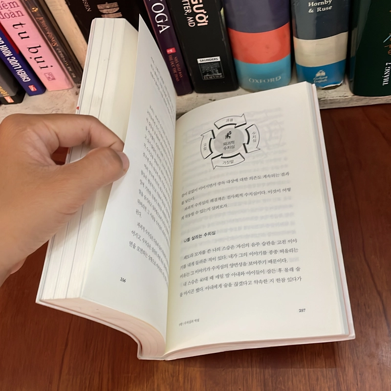 II Books: 도파민네이션 _ Dopamine Nation (쾌락 과잉 시대에서 균형 찾기) - ANNA LEMBKE 539956