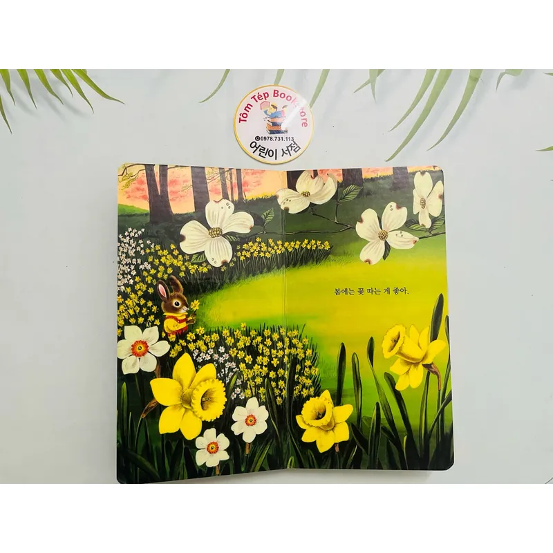 Set boardbook tiếng Hàn B34  1066253