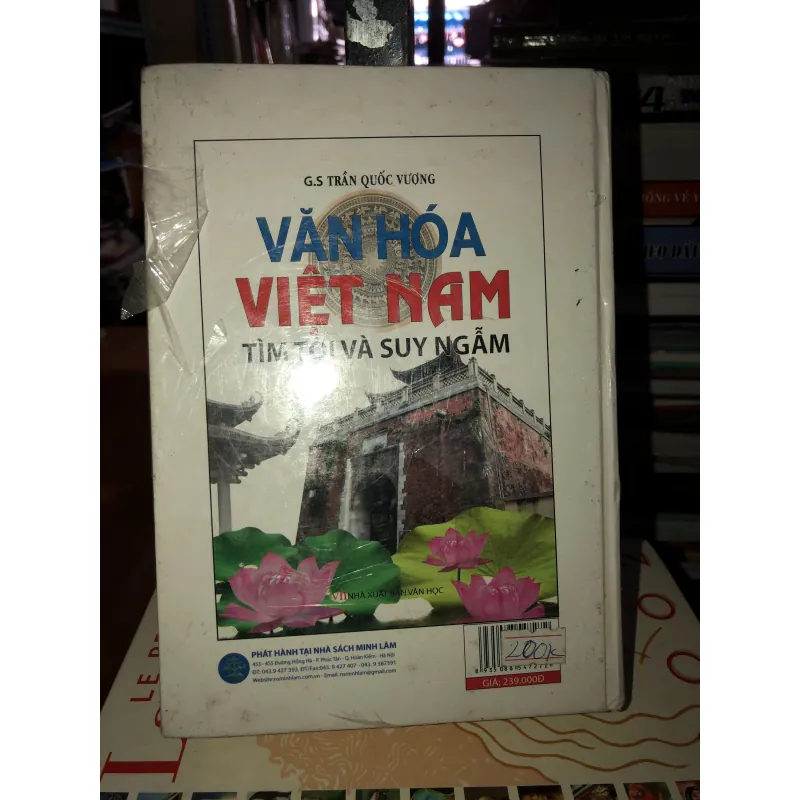 Văn hoá Việt Nam - Tìm tòi và suy ngẫm - GS. Trần Quốc Vượng 760680