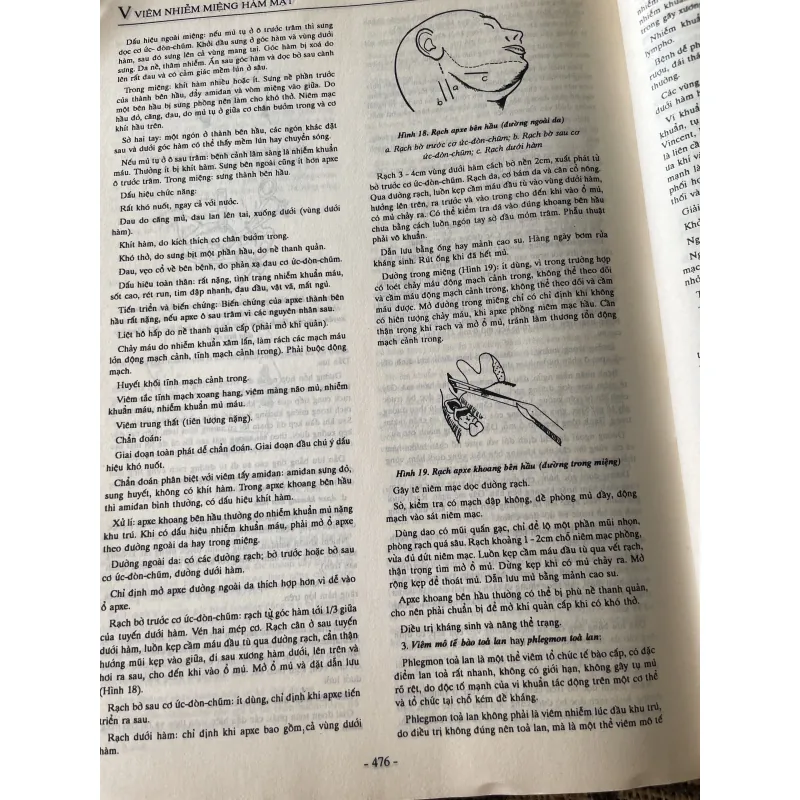 Bách khoa bệnh học 2 ; 500 trang khổ lớn  1019546