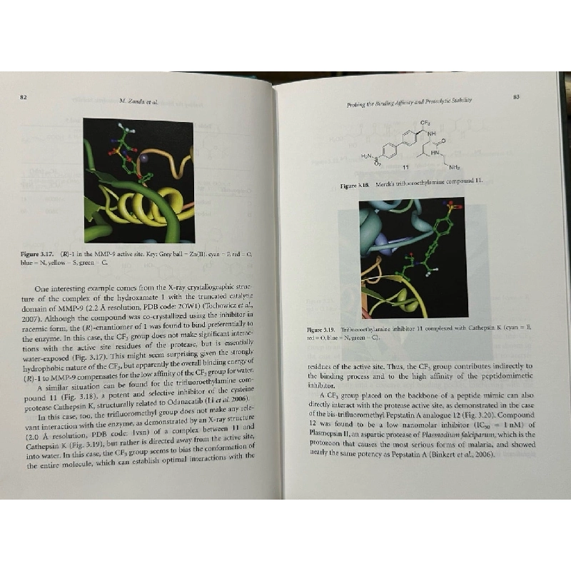 Fluorine in Pharmaceutical and Medicinal Chemistry 1013392