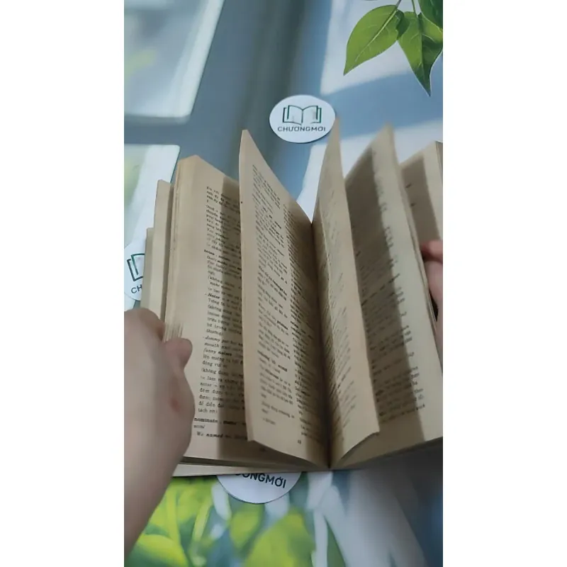 Sổ Tay Từ Đúng - Từ Sai ( Right Word - Wrong Word) - Nguyễn Thị Tuyết 727297