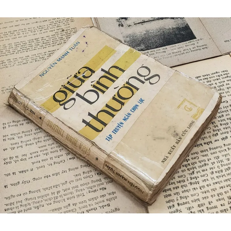 Tập truyện ngắn của Nguyễn Mạnh Tuấn: Giữa bình thường 707714