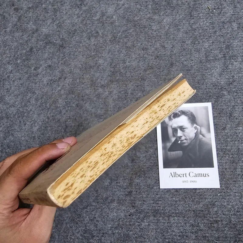 Truyện Kiều văn xuôi - Thích Nhất Hạnh 960796