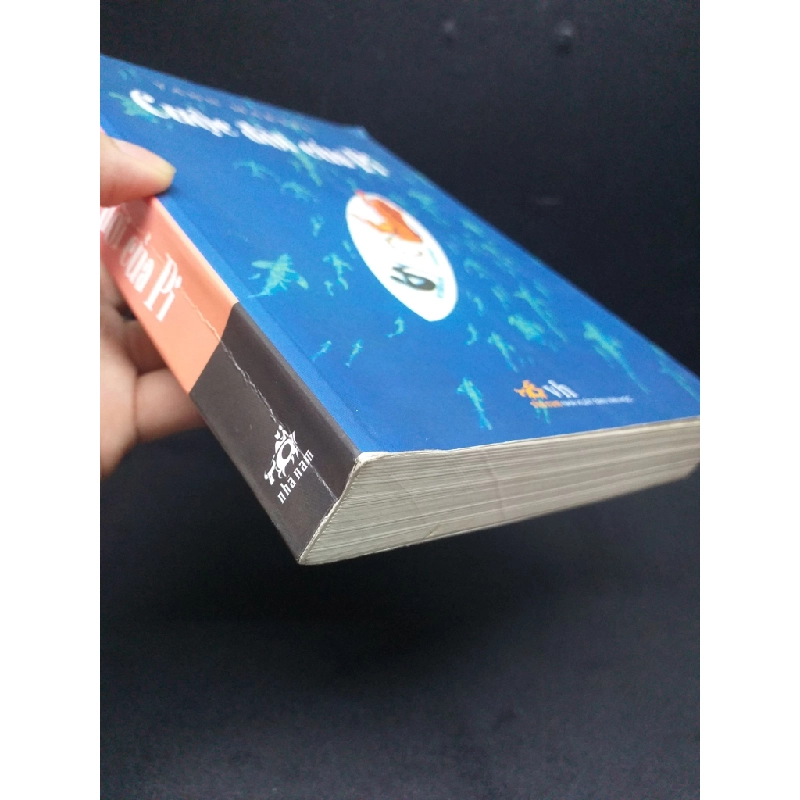 Cuộc đời của Pi mới 90% bị gấp nếp gáy 2013 HCM0107 Yann Martel VĂN HỌC Oreka-Blogmeo 177296