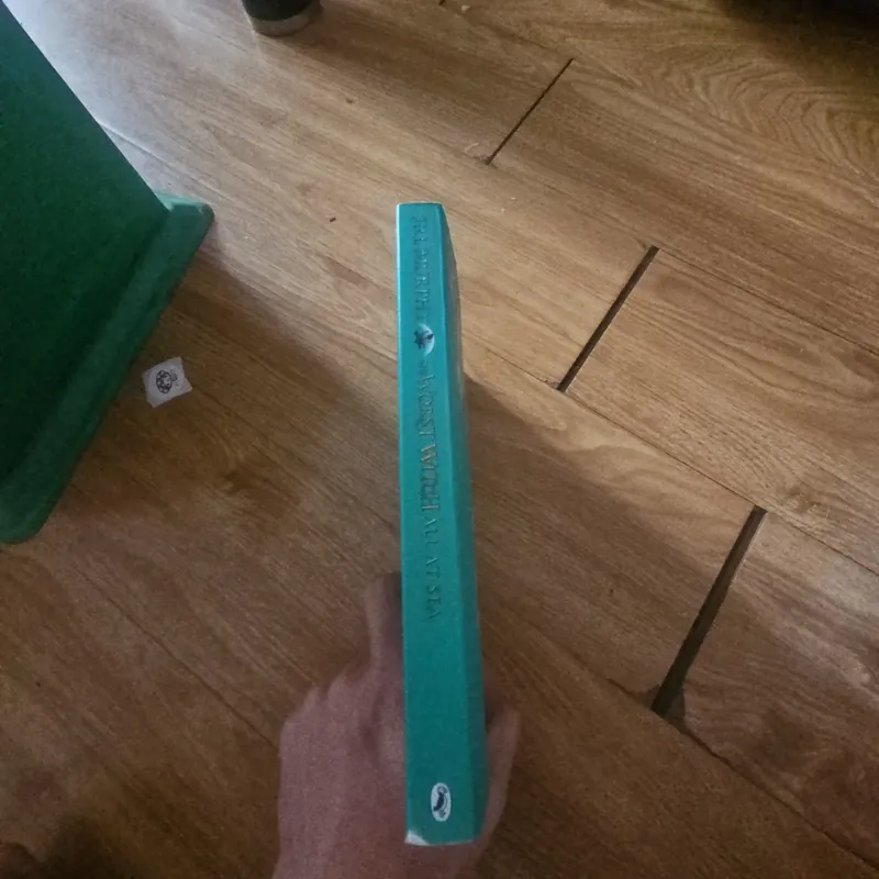 The worst wicth all at sea Giá 20k  603992