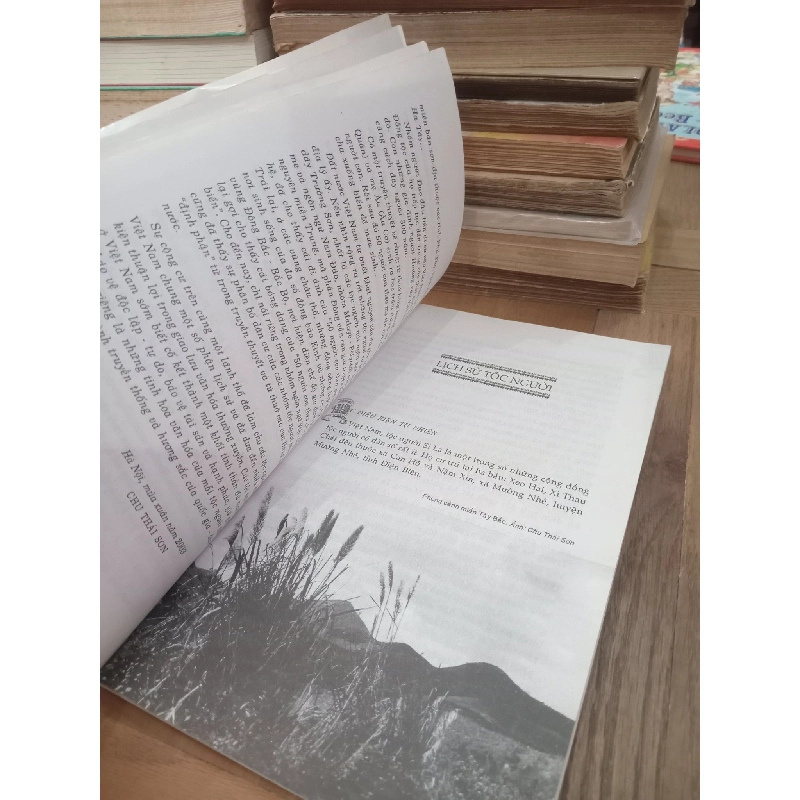 Người si la - Chu Thái Sơn chủ biên, TS. Mai Thanh Sơn 726492