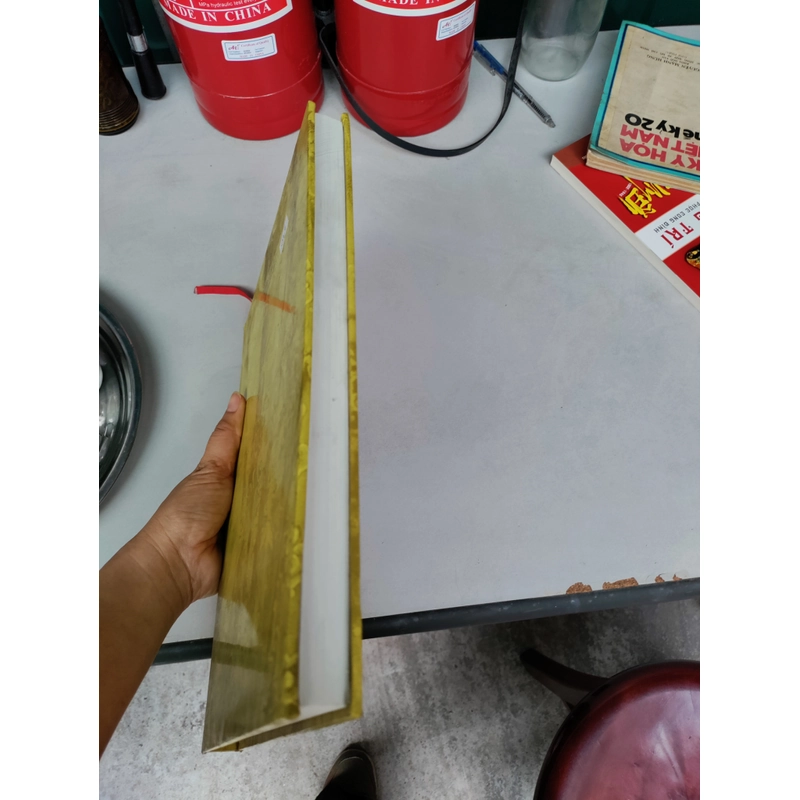 Trang phục Việt Nam 462982