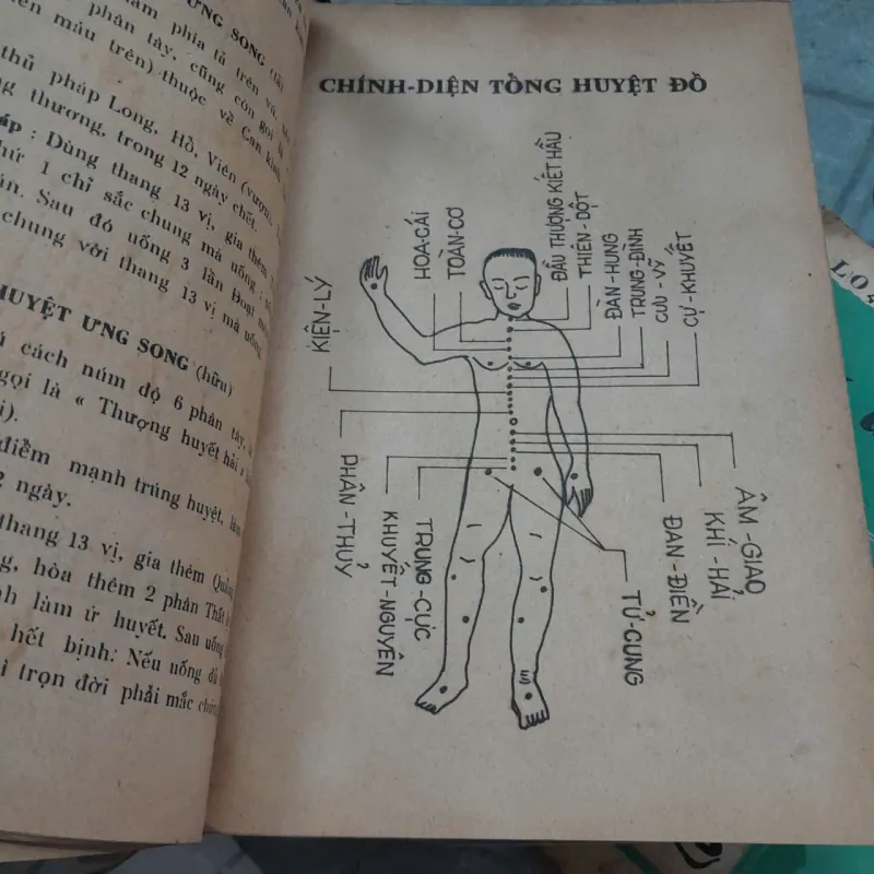 ĐIỂM HUYỆT CHÂN TRUYỀN ĐỒ GIẢI - NAM ANH 748349