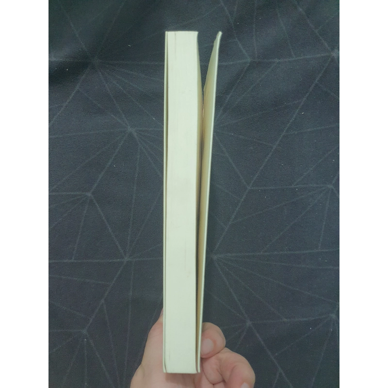 "Nếu gặp người ấy cho tôi gửi lời chào" - Ichikawa Takuji 498960